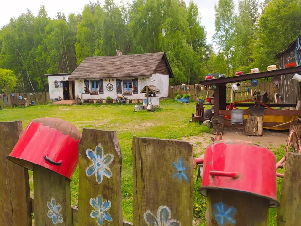 Zagroda Zalipie Gostynin Buitenkant foto