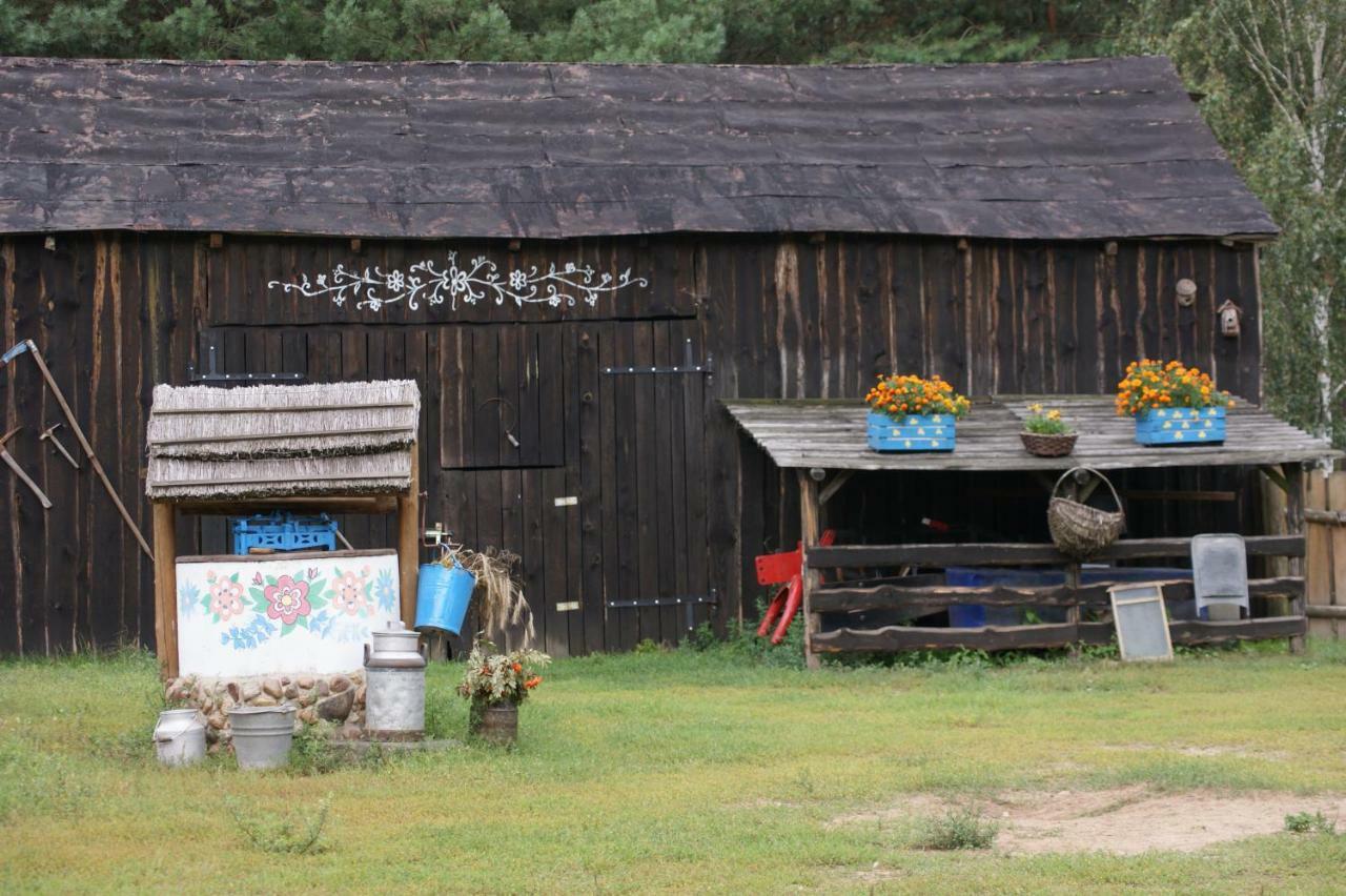 Zagroda Zalipie Gostynin Buitenkant foto