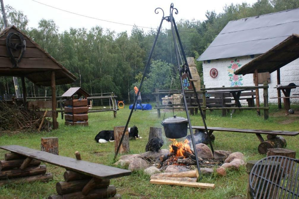 Zagroda Zalipie Gostynin Buitenkant foto