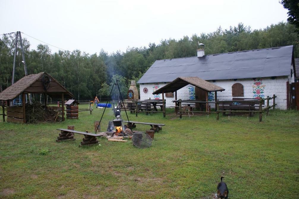Zagroda Zalipie Gostynin Buitenkant foto
