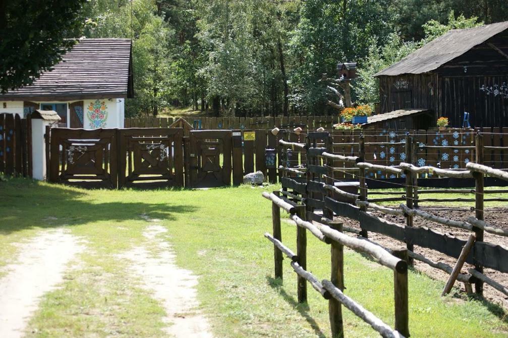 Zagroda Zalipie Gostynin Buitenkant foto