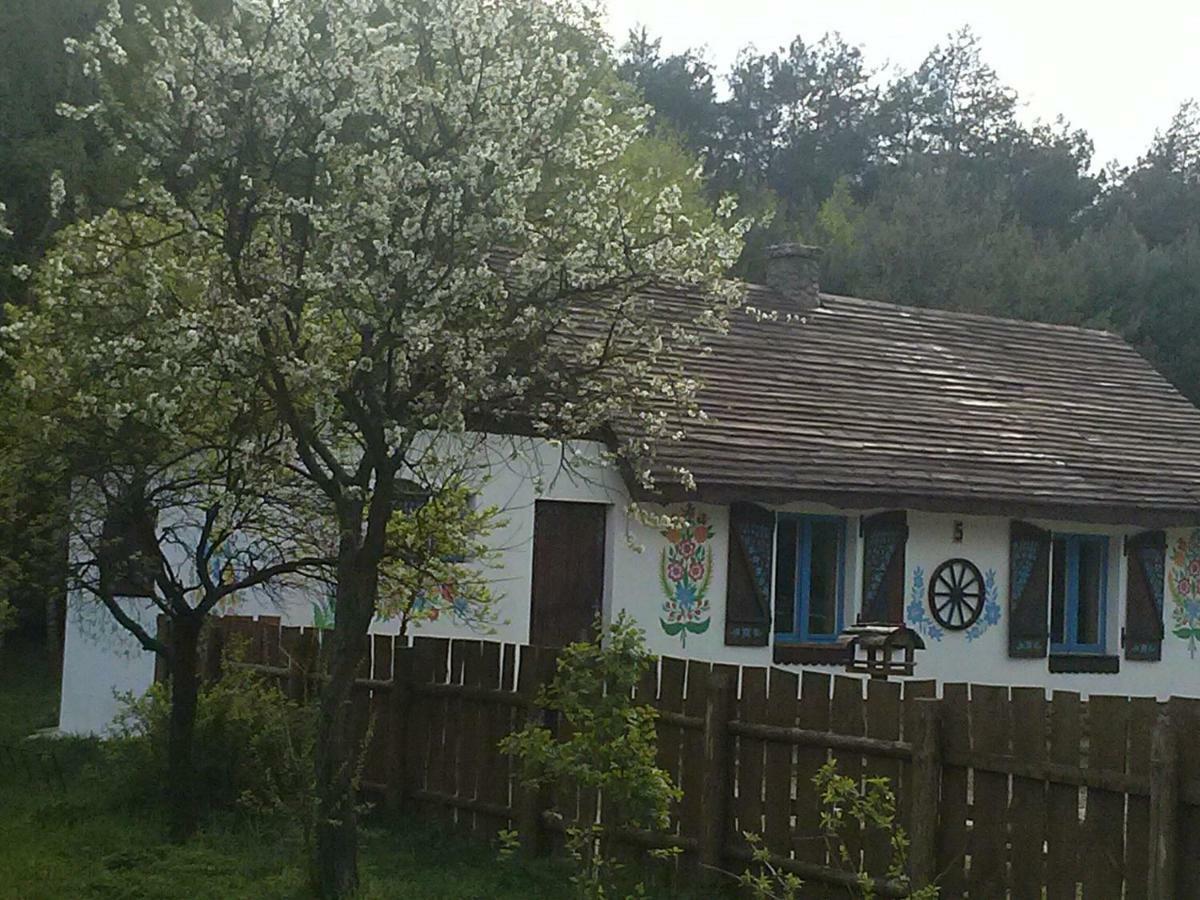 Zagroda Zalipie Gostynin Buitenkant foto