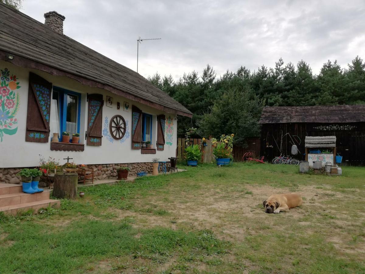 Zagroda Zalipie Gostynin Buitenkant foto