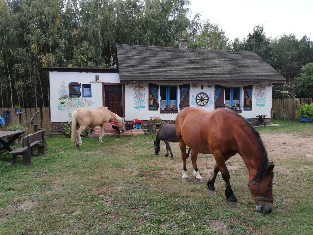 Zagroda Zalipie Gostynin Buitenkant foto