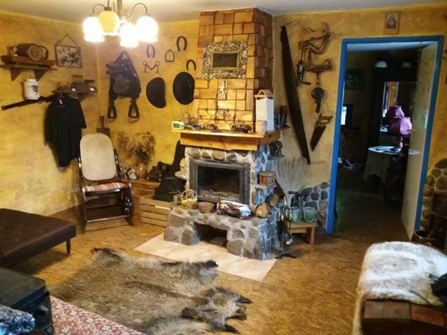 Zagroda Zalipie Gostynin Buitenkant foto