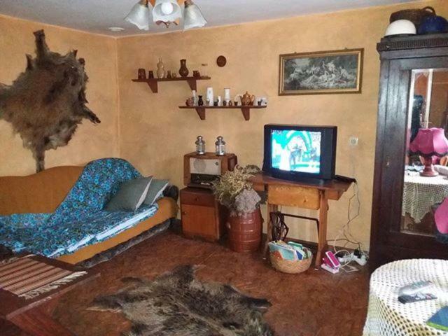 Zagroda Zalipie Gostynin Buitenkant foto