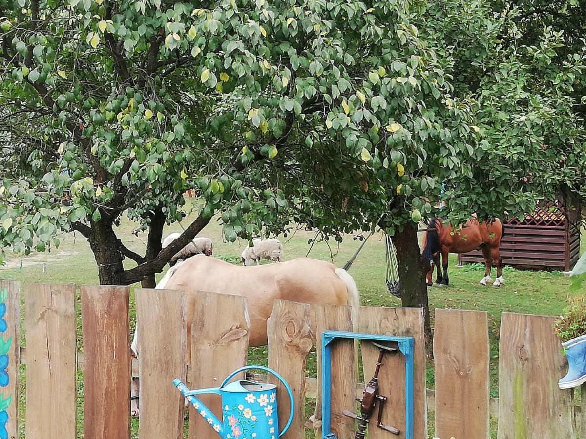 Zagroda Zalipie Gostynin Buitenkant foto