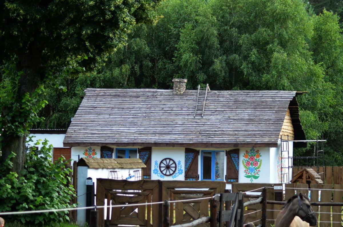 Zagroda Zalipie Gostynin Buitenkant foto