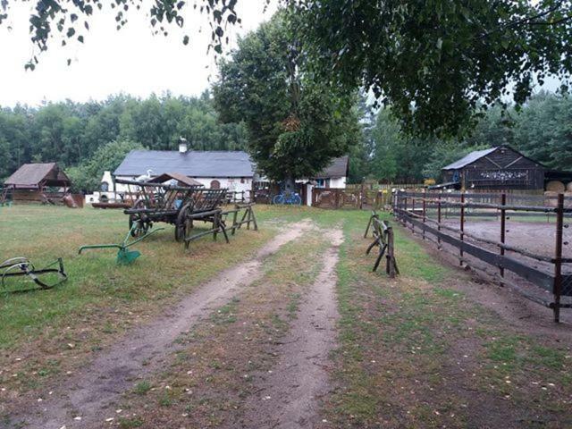 Zagroda Zalipie Gostynin Buitenkant foto
